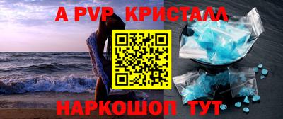 гашик Тара