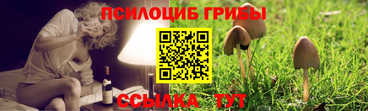 Псилоцибиновые грибы Cubensis  Вход с VPN  Норильск  Псилоцибиновые грибы Psilocybine cubensis 